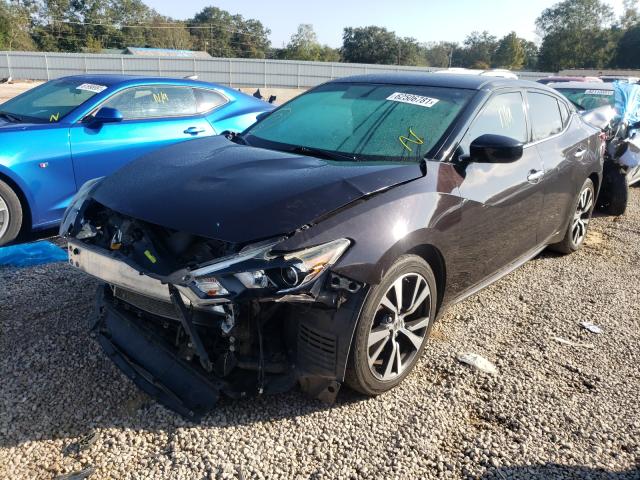 1N4AA6AP3GC382152 Nissan Maxima 3.5 2016. Фото: 1