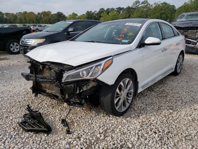 2017 HYUNDAI SONATA SPO 5NPE34AB5HH461553