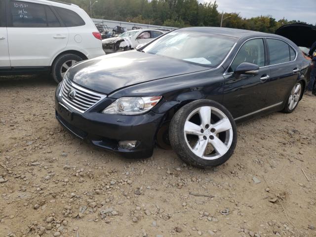 2011 LEXUS LS 460L JTHGL5EF2B5043596