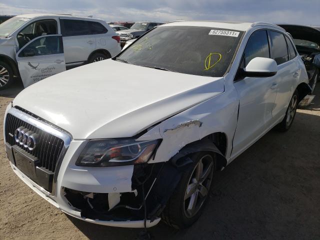 WA1LKAFP4AA081592 Audi Q5 Premium 2010. Фото: 1