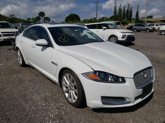 Salvage cars for sale from Copart Miami, FL: 2014 Jaguar XF