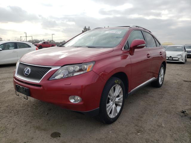 2010 LEXUS RX 450 JTJBC1BA8A2020916