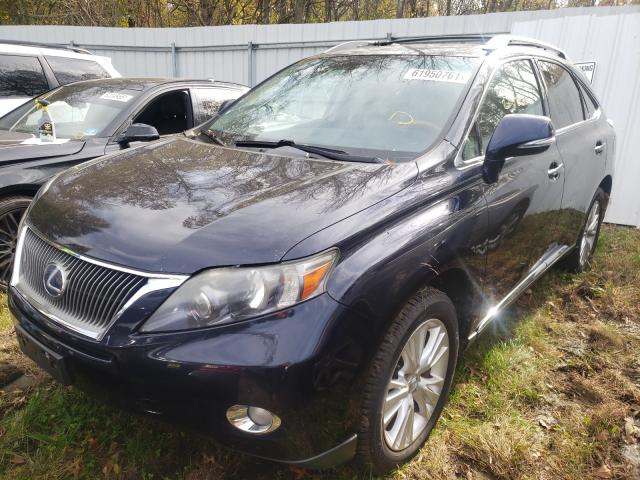 2010 LEXUS RX 450 JTJBC1BA4A2025529
