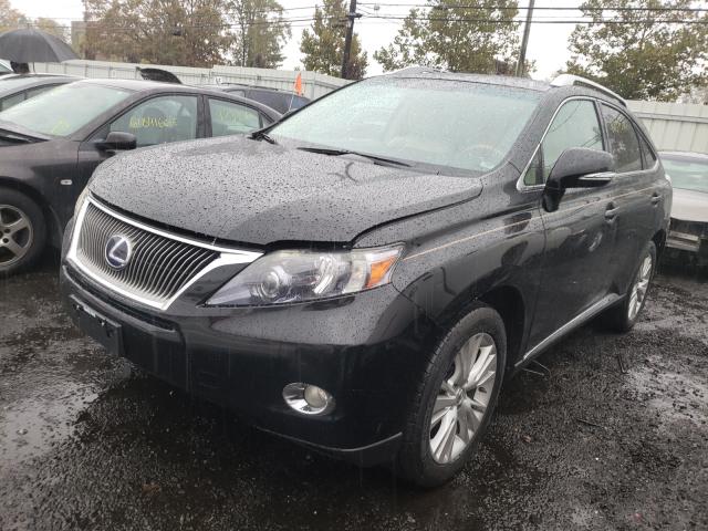 2010 LEXUS RX 450 JTJBC1BA0A2029223