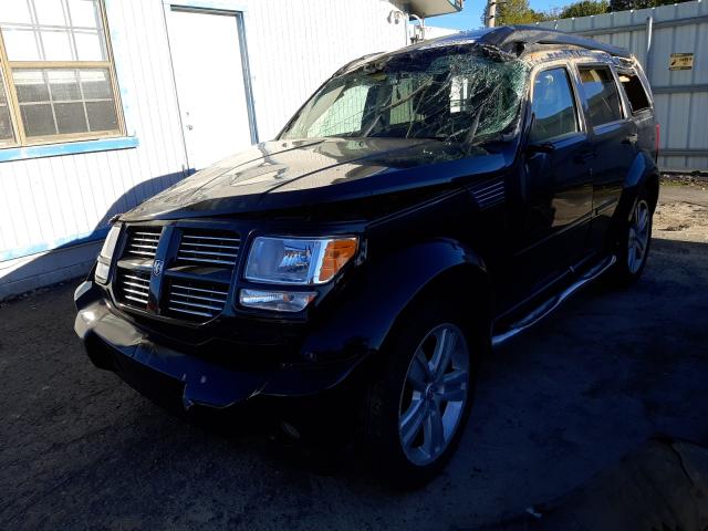 2010 DODGE NITRO SHOC 1D4PT7GX9AW165287