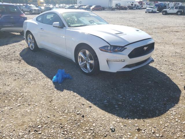 2019 Ford Mustang  (VIN: 1FA6P8TH0K5173843)