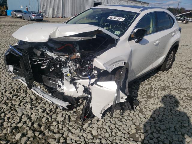 2021 LEXUS NX 300H BA JTJDJRDZ6M5013997