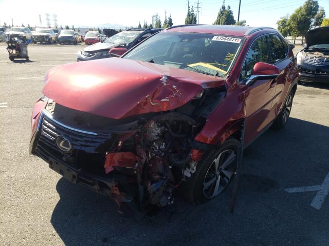 2019 LEXUS NX 300H JTJBJRBZ4K2099304