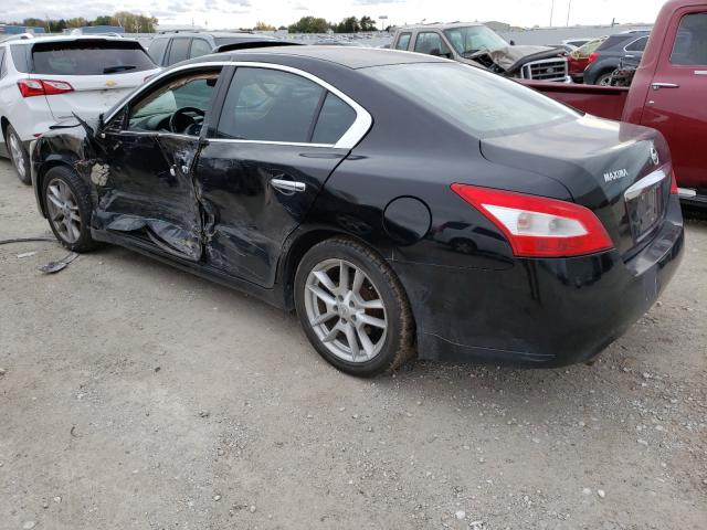1N4AA51E69C861550 Nissan Maxima S 2009. Фото: 2
