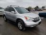 2010 HONDA  CRV