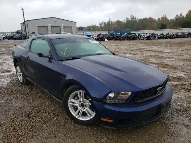 2010 FORD MUSTANG 1ZVBP8AN7A5119176