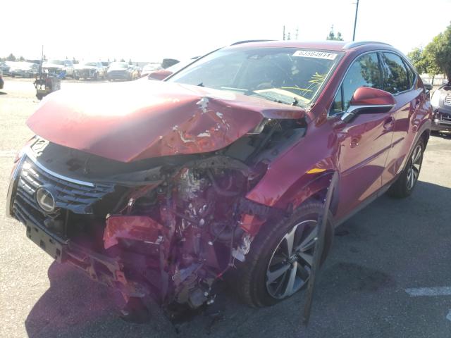 2019 LEXUS NX 300H JTJBJRBZ4K2099304