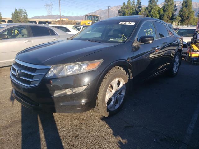 2010 HONDA OTHER 5J6TF1H53AL015927