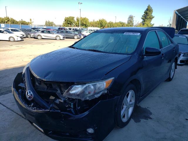 2013 TOYOTA CAMRY XL 4T1BF1FK3DU267911