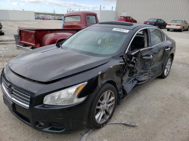 1N4AA51E69C861550 Nissan Maxima S 2009. Фото: 1