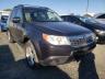 2010 SUBARU  FORESTER