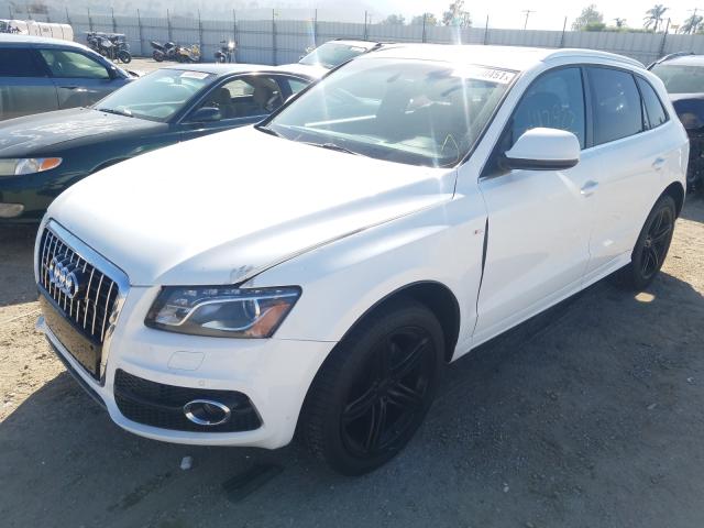 2010 AUDI Q5 PRESTIG WA1WKAFP3AA013099