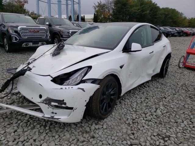 2021 TESLA MODEL Y 5YJYGDEE6MF138966