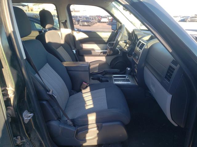 2010 DODGE NITRO SXT 1D4PT5GK4AW124722