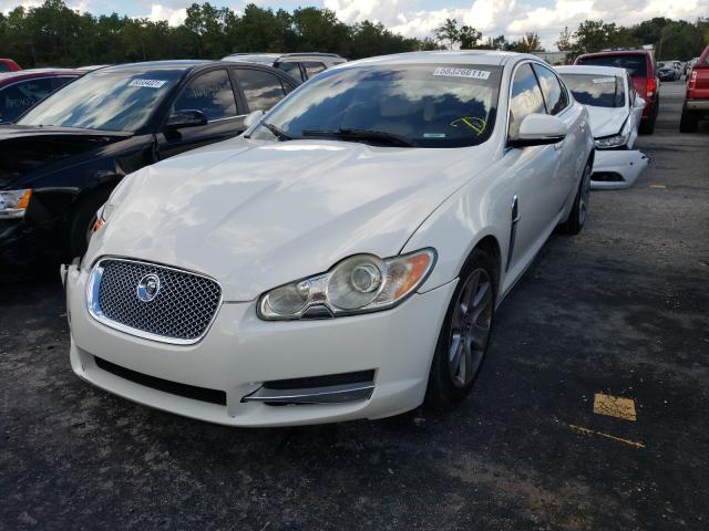 2010 JAGUAR XF LUXURY SAJWA0FAXAHR61202