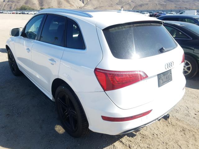 2010 AUDI Q5 PRESTIG WA1WKAFP3AA013099