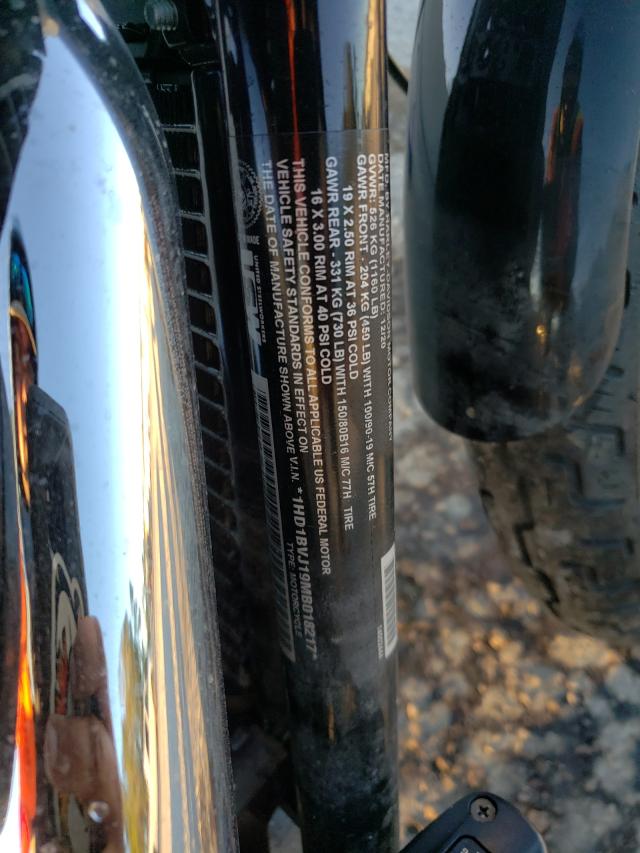 2021 HARLEY-DAVIDSON FXST 1HD1BVJ19MB018217
