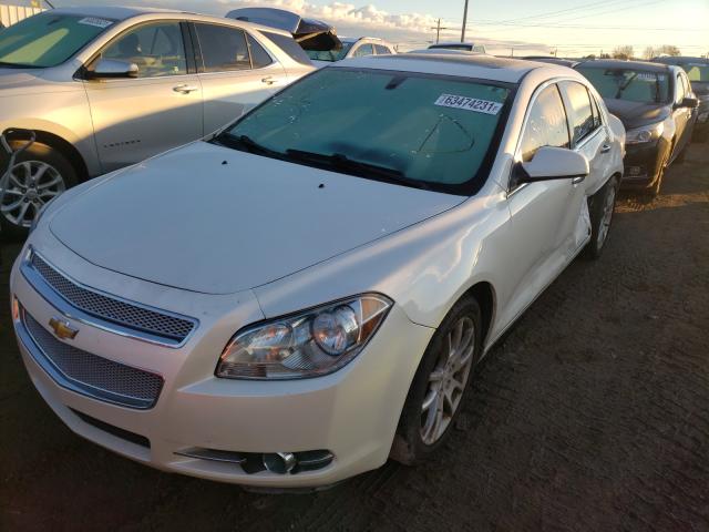 2011 CHEVROLET MALIBU LTZ - 1G1ZE5E71BF121172