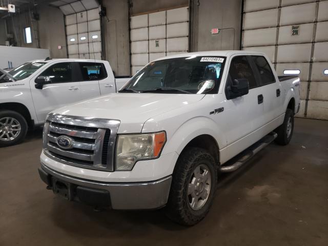 2010 FORD F150XLT 1FTFW1EV0AFC44913