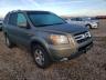 2007 HONDA  PILOT