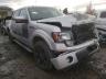 2013 FORD  F-150