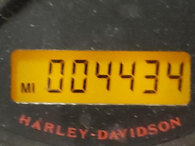 2011 HARLEY-DAVIDSON XL883 L 1HD4CR218BC437845