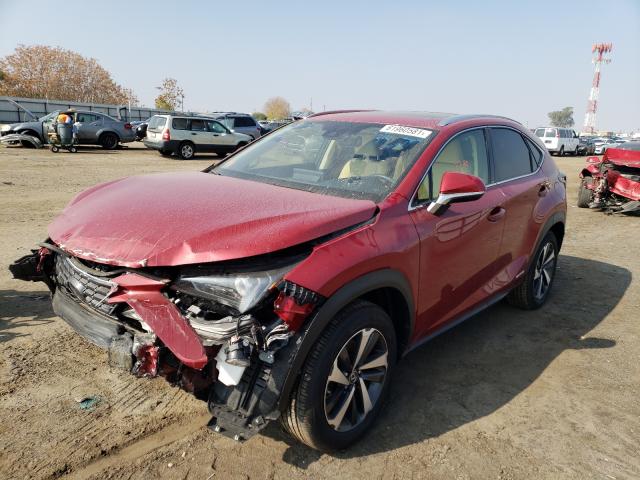 2021 LEXUS NX 300H BA JTJGJRDZXM2149984