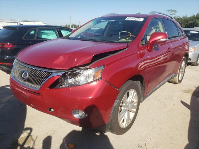 2010 LEXUS RX 450 JTJBC1BAXA2006063