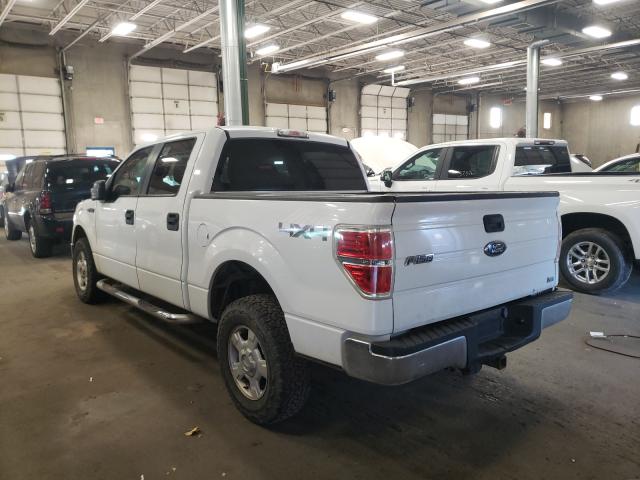 2010 FORD F150XLT 1FTFW1EV0AFC44913