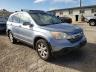 2007 HONDA  CRV