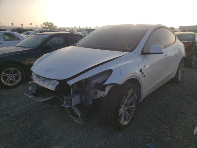 2021 TESLA MODEL Y 5YJYGDEE7MF181910
