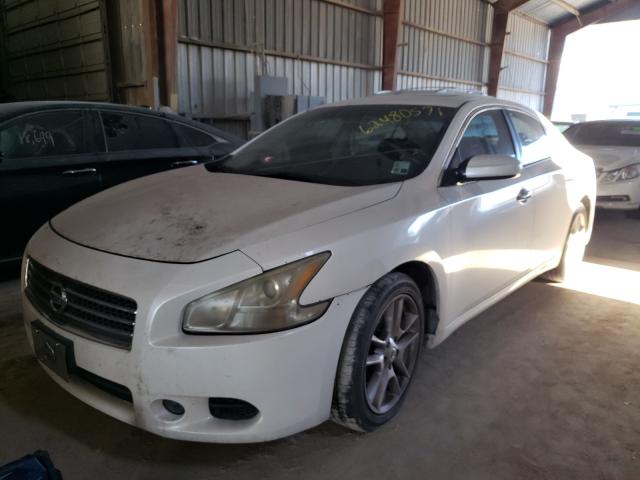 1N4AA51E29C820803 Nissan Maxima S 2009. Фото: 1