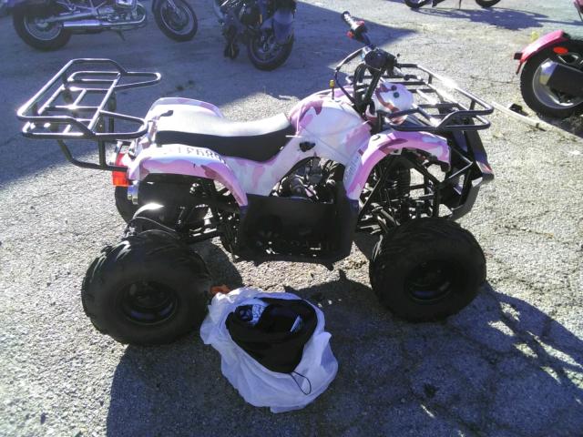 2017 ATV TAOTAO L5NAAHTJ6F1076514