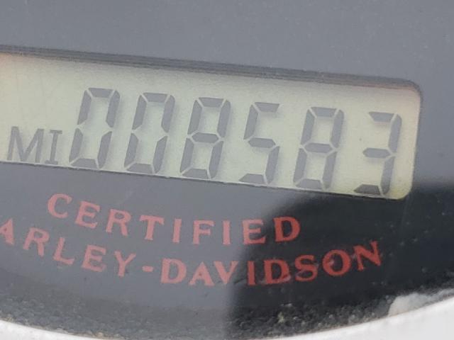 2005 HARLEY-DAVIDSON FXDL 1HD1GDV125K325218