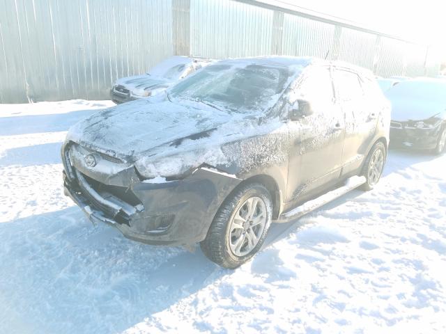 2015 HYUNDAI TUCSON KM8JT3AFXFU097818