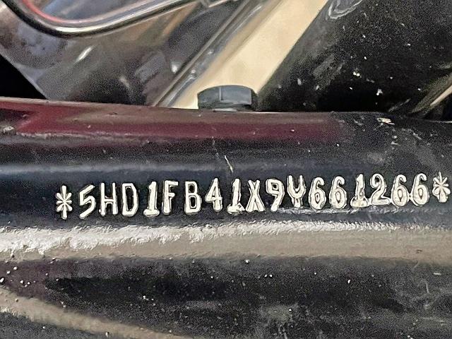 2009 HARLEY-DAVIDSON FLHR - 5HD1FB41X9Y661266