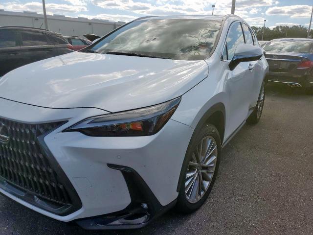 2022 LEXUS NX 350 JTJGGCEZ8N2000646