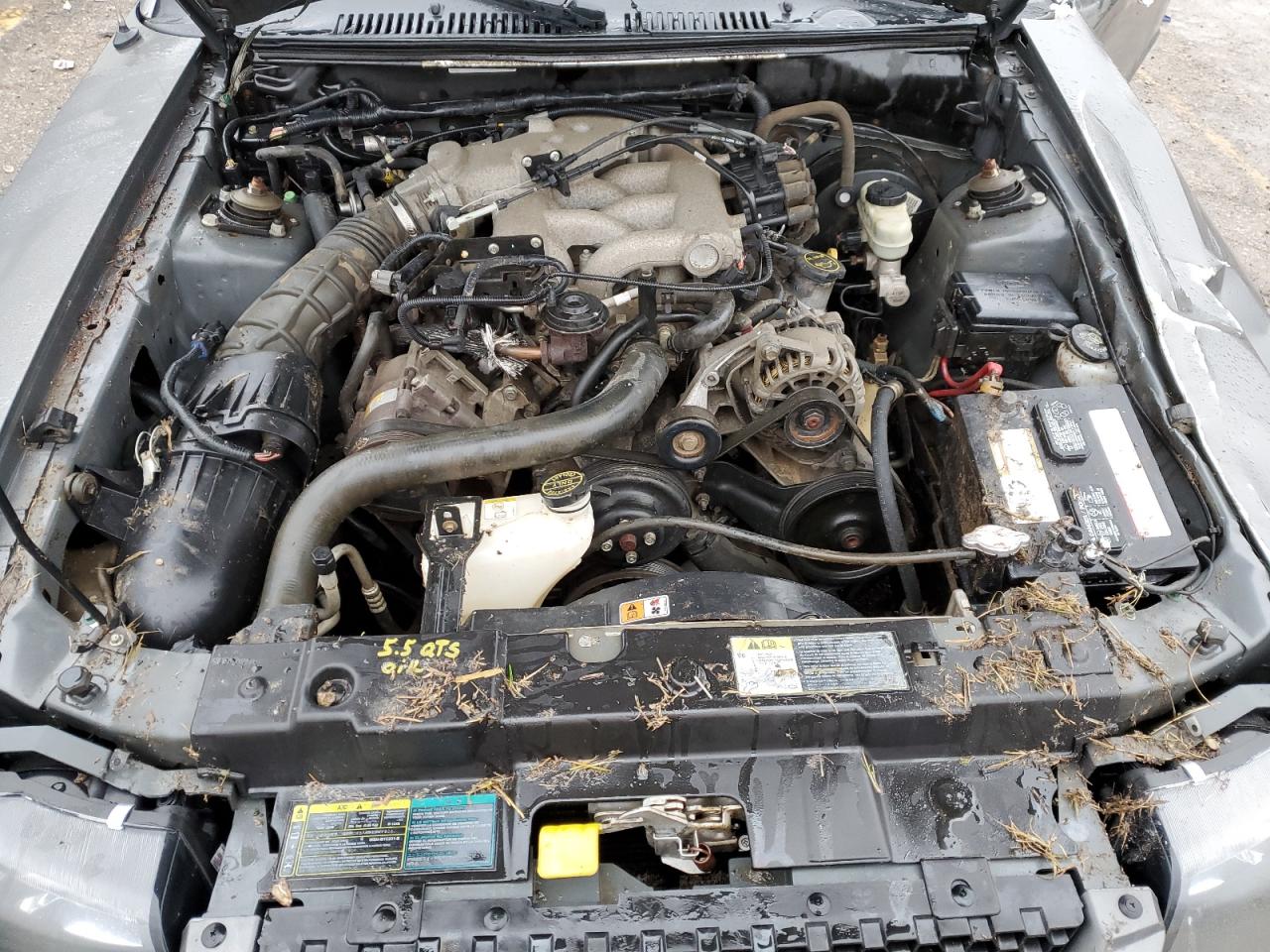 2004 Ford Mustang VIN: 1FAFP40614F241107 Lot: 68187675