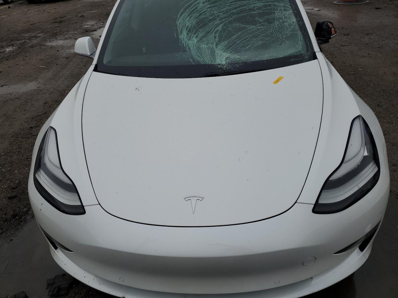 2019 Tesla Model 3 VIN: 5YJ3E1EB9KF469834 Lot: 81879283