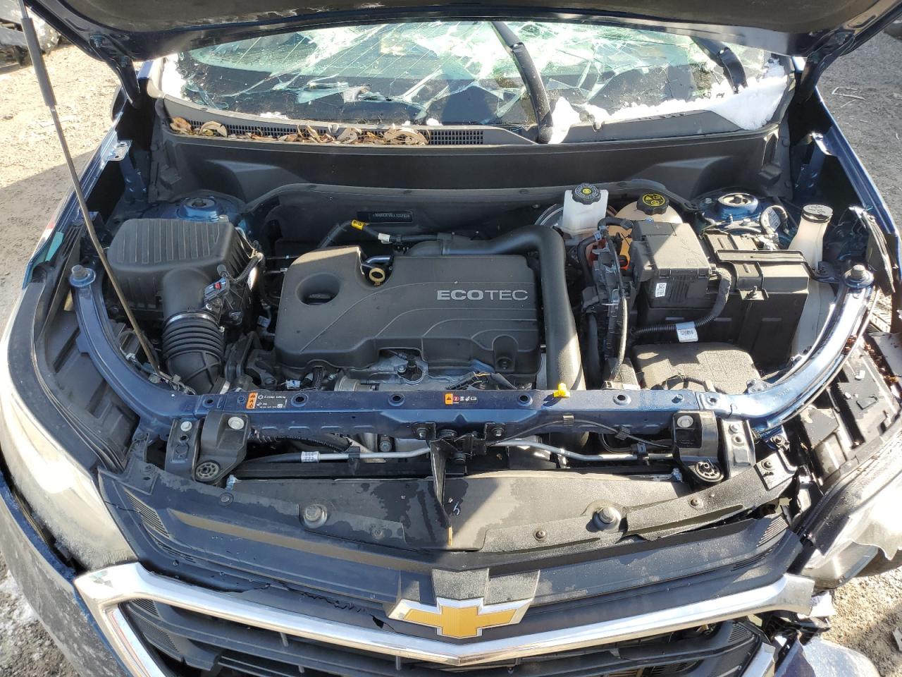 2020 Chevrolet Equinox Lt VIN: 3GNAXUEV8LL325781 Lot: 55691164