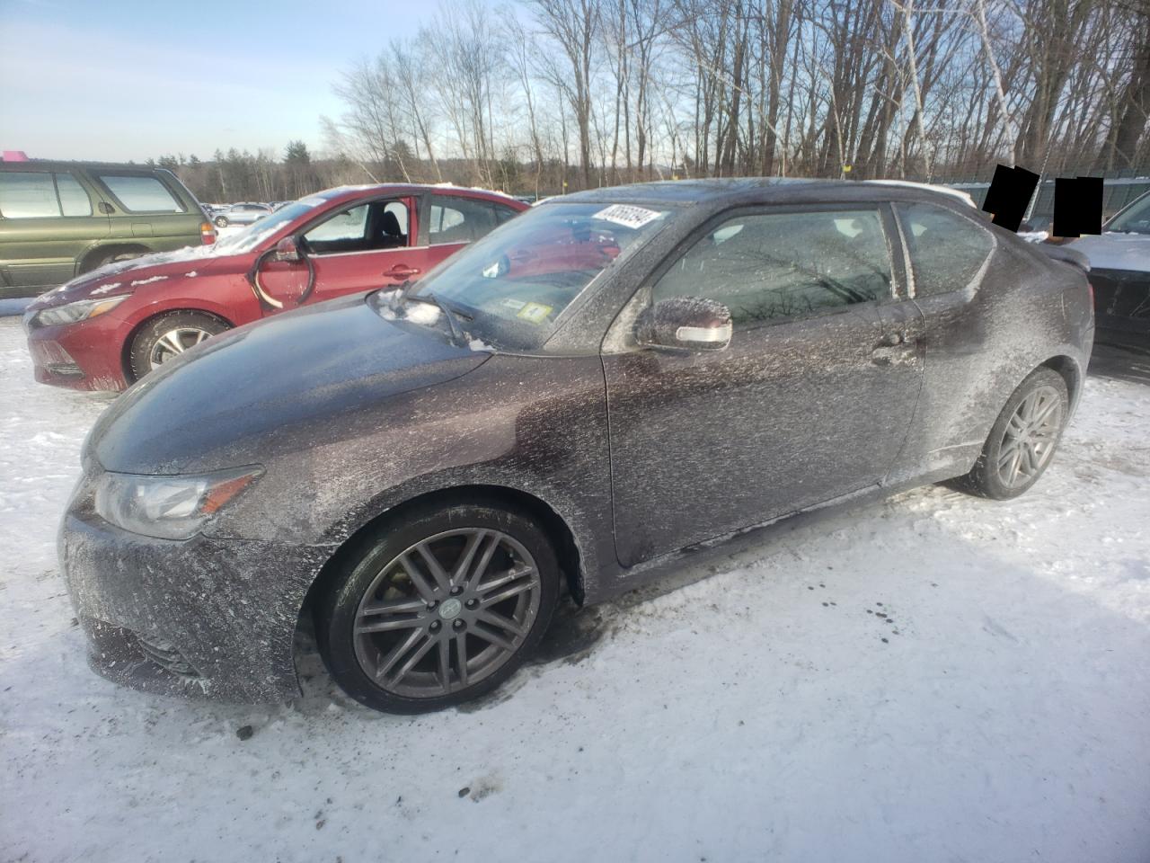 2011 Toyota Scion Tc VIN: JTKJF5C71B3009146 Lot: 38560394