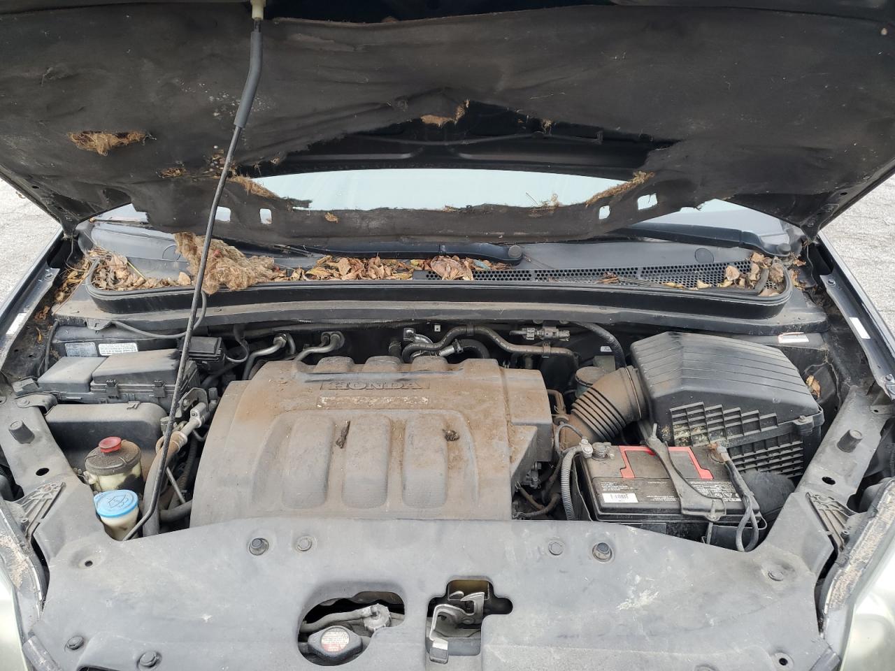 2006 Honda Odyssey Touring VIN: 5FNRL38806B115606 Lot: 39607484