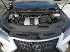 2019 Lexus Rx 350 Base for Sale in Seaford, DE - All Over