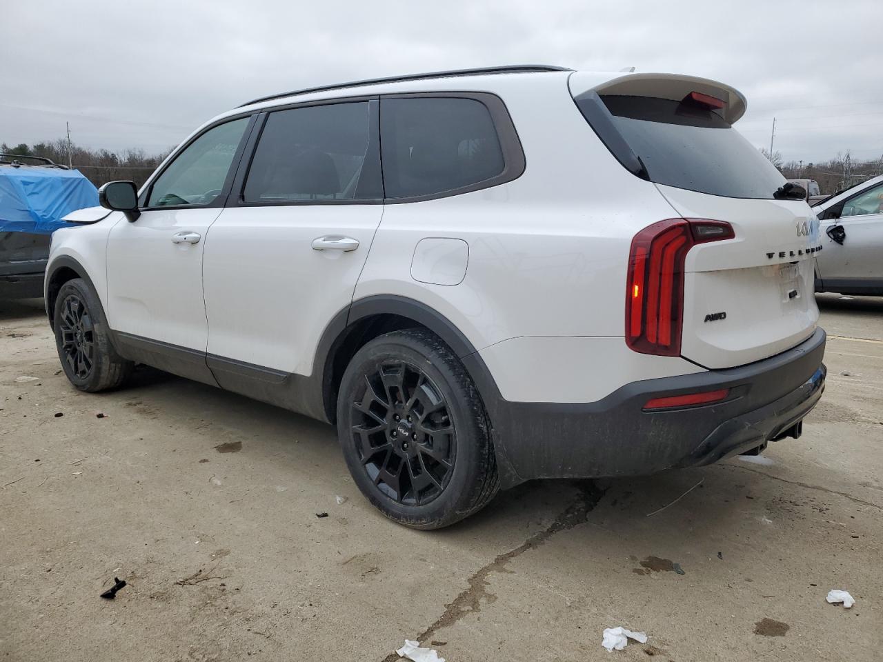 2022 Kia Telluride Sx VIN: 5XYP5DHCXNG221693 Lot: 39543124