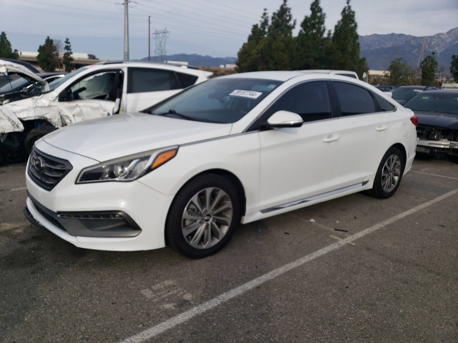 5NPE34AF5FH028928 2015 Hyundai Sonata Sport